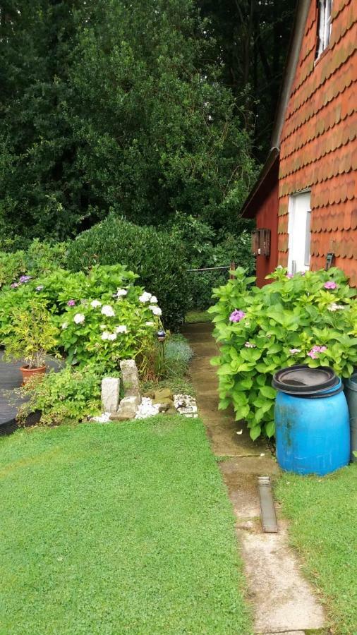 Ferienwohnung Im Waldwinkel Stadthagen Exterior foto